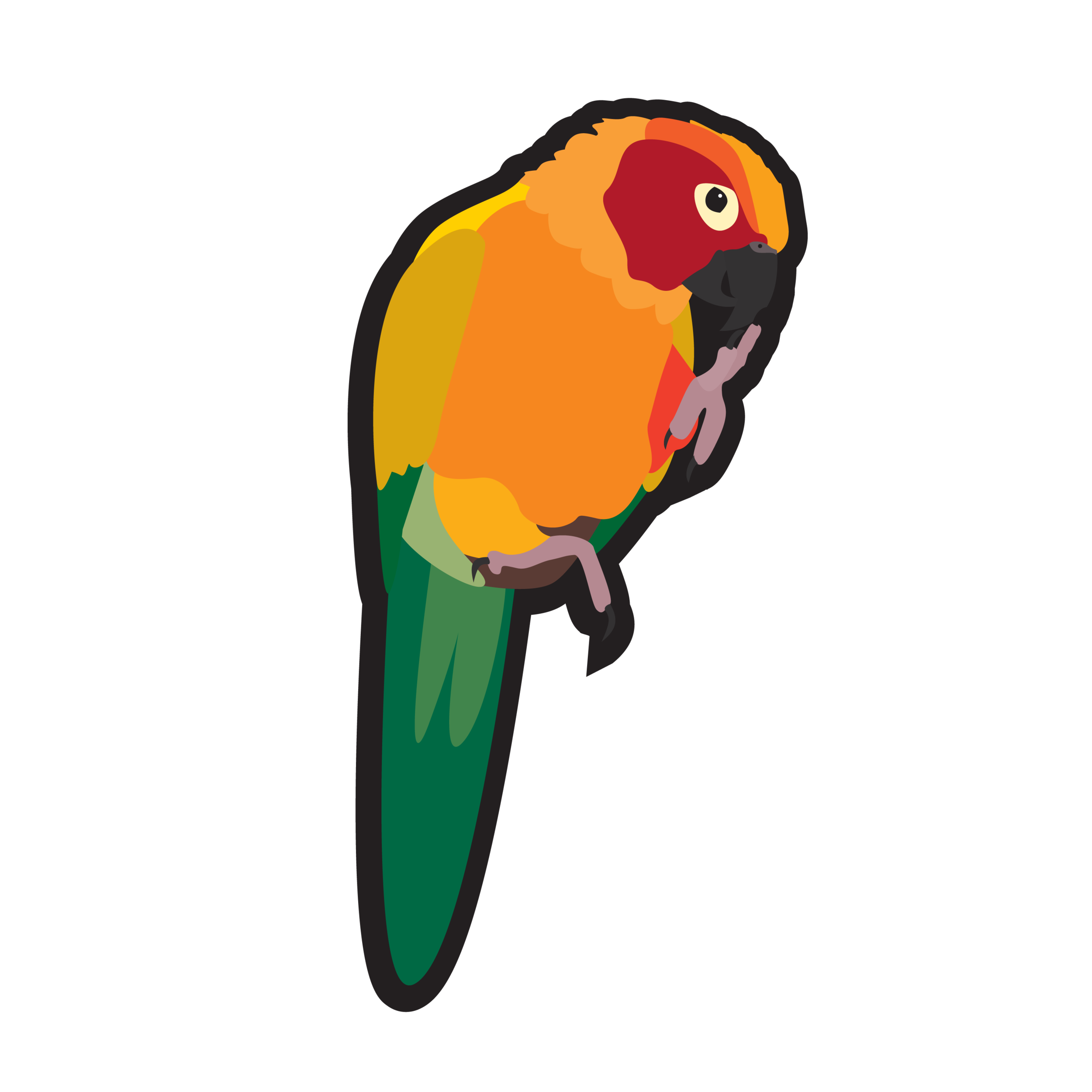 ConurePin_Web-01.png