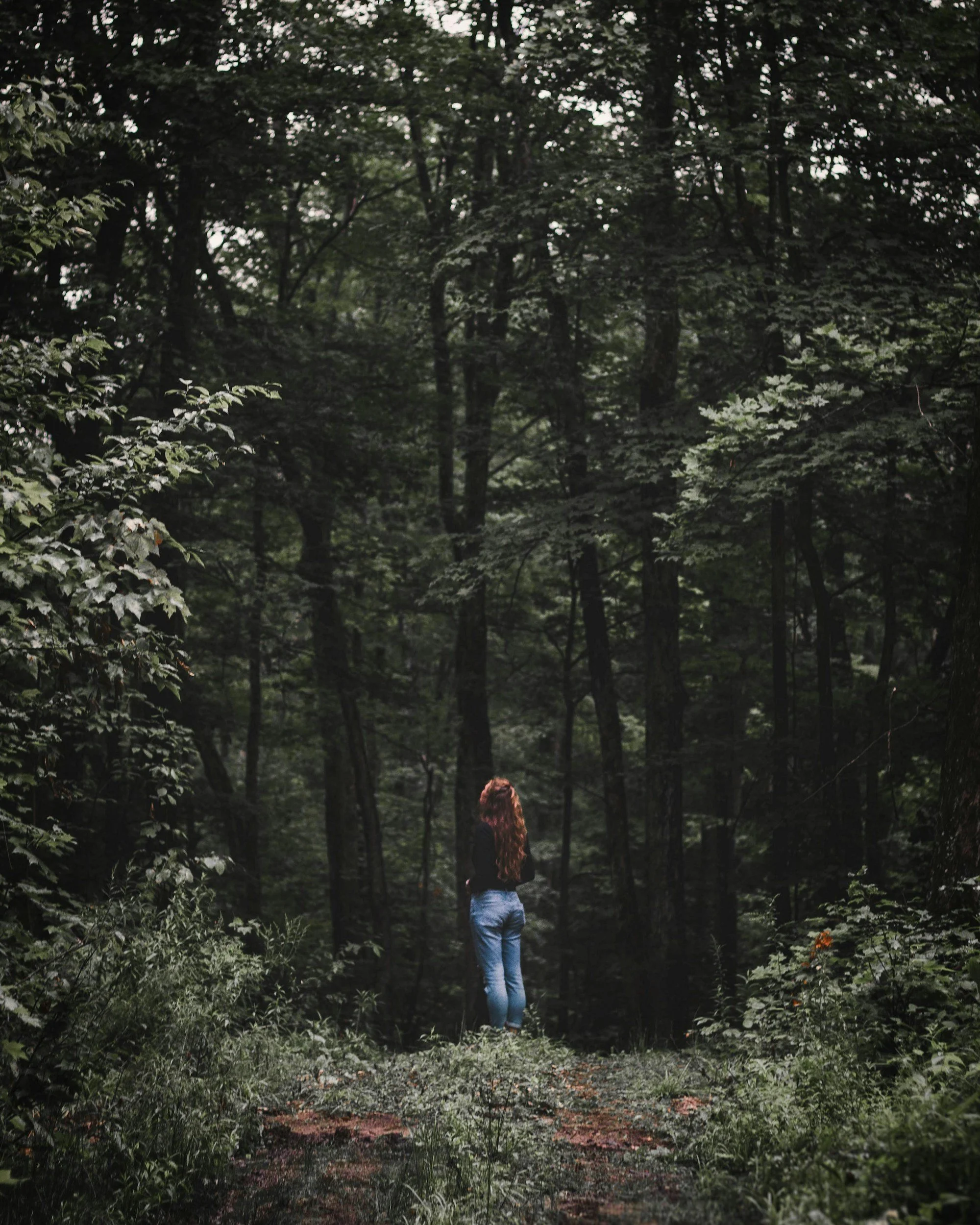 Nourish Your Spirit: Forest Bathing & Neurographic Art for Well-Being