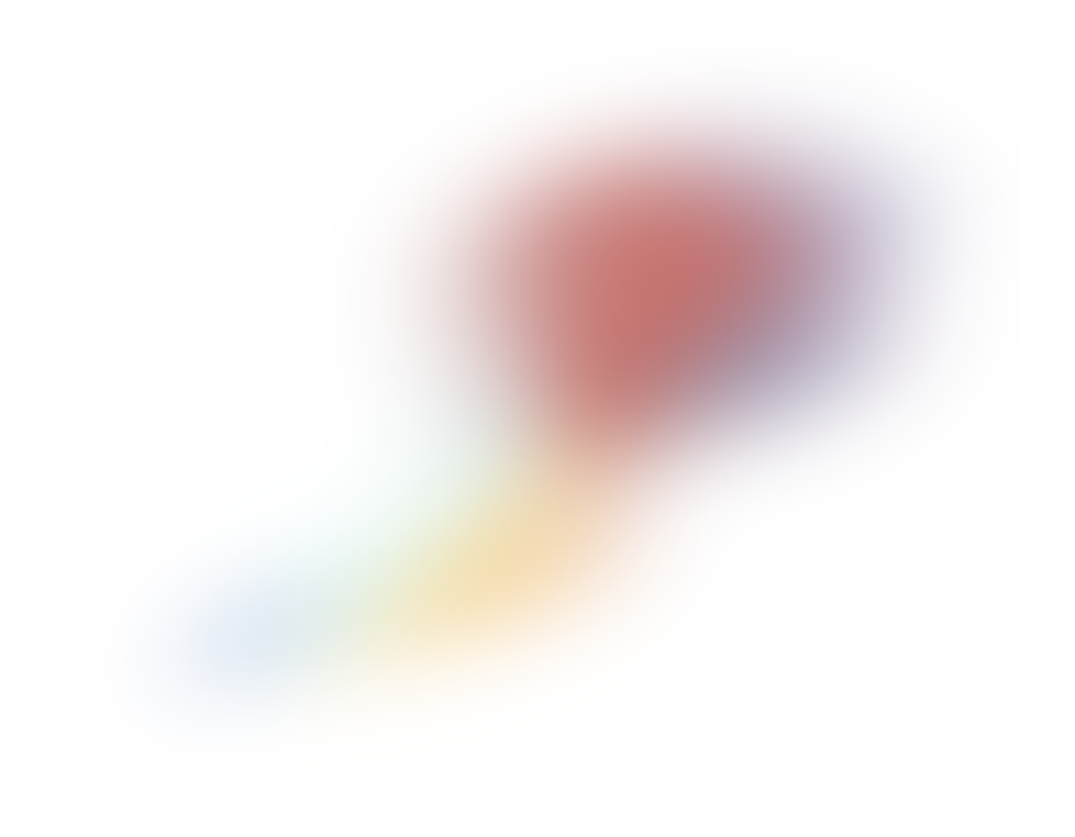 The image is blurred and not clearly visible.