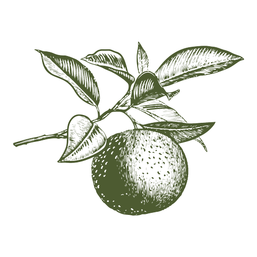 general-2-azurbanag