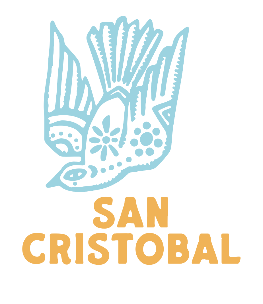 Screenshot 2026-02-24 at 2.59.32 PM.png