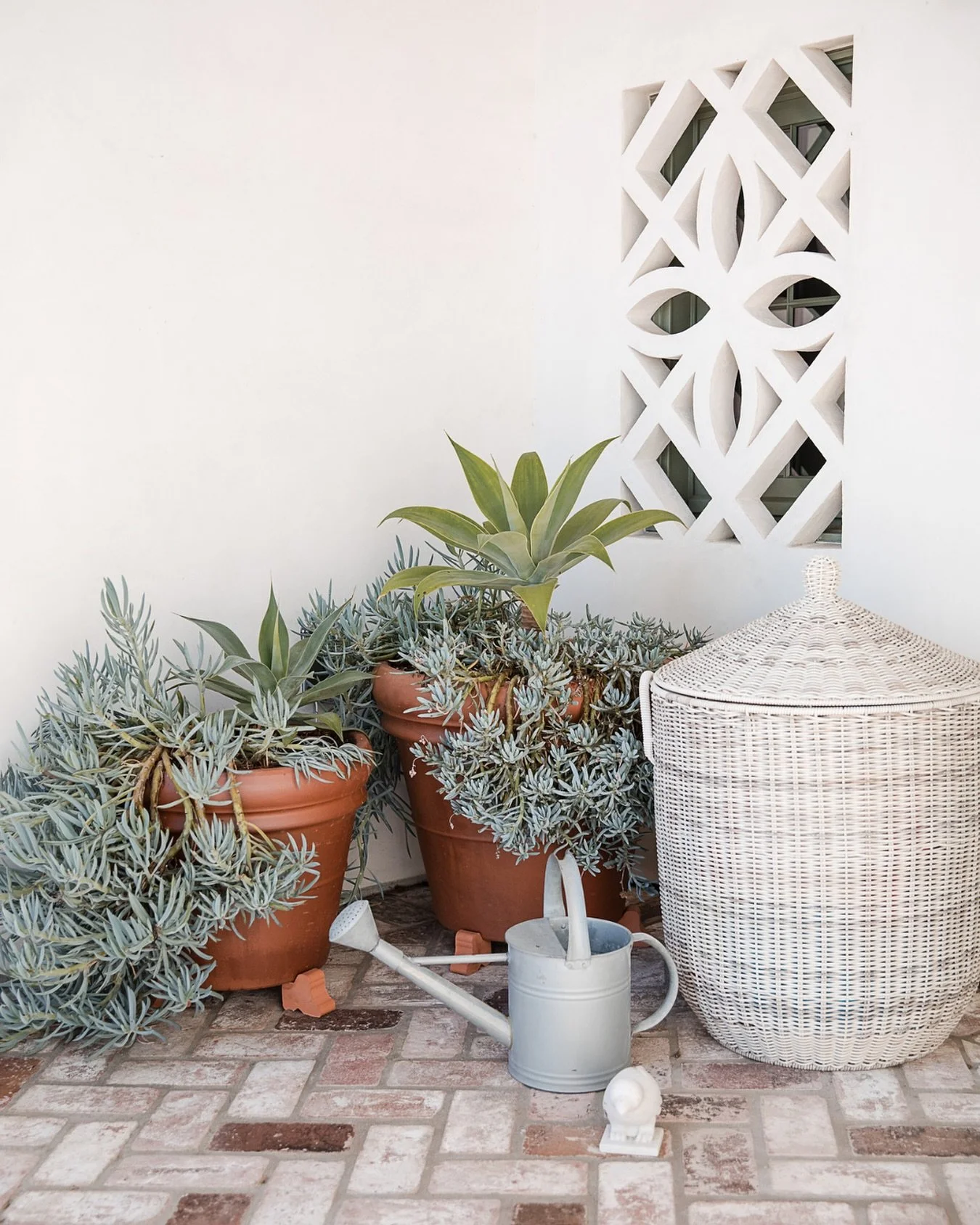 mid-week palette cleanser at #happyhillsidehacienda 🌿⛅️🪴

photo: @pamelacasaudoumecqphotography