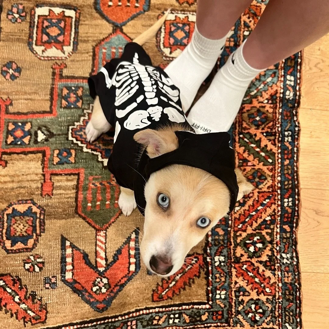 Halloween fit check ✔️☠️🐾🎃👻