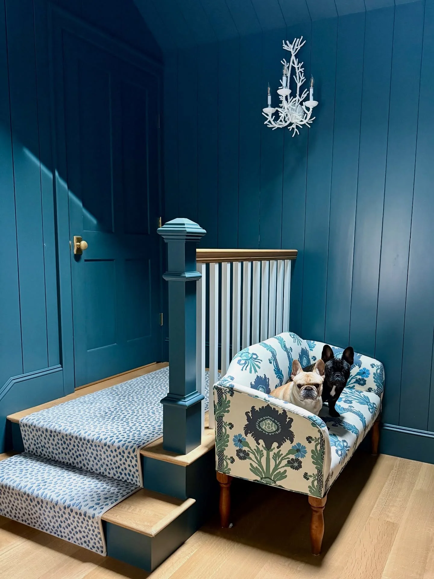 Pup-approved punch 💙🐾🩵🐾

Eastie @sarahloomiscrawford drenched her mudroom in the most gorgeous shade, which glows rain or shine. ☔️☀️ Her bench is a family treasure, and the shell sconce a nod to her beautiful coastal location. Chef&rsquo;s kiss!