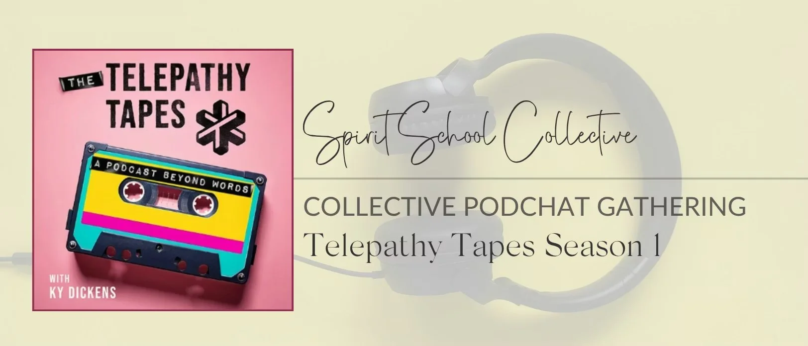 The Telepathy Tapes Podchat Gathering