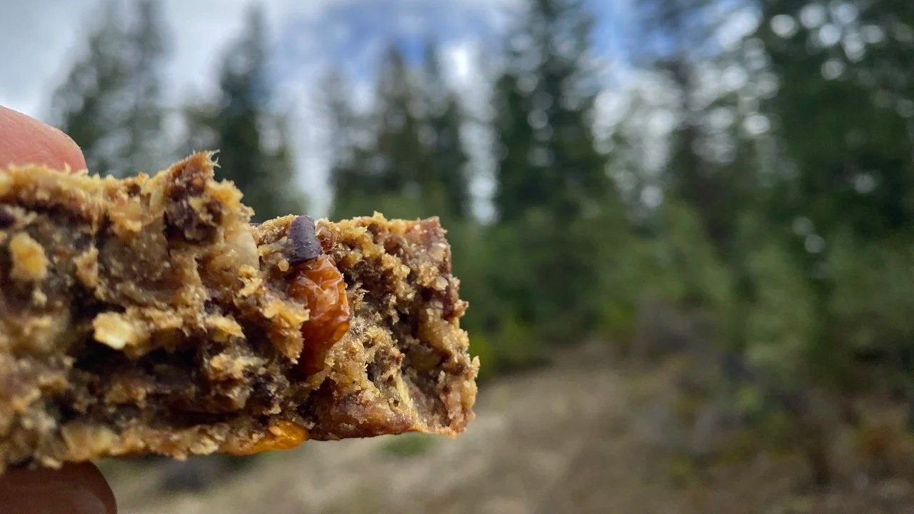 Sassy Not Sweet high protein oat bars