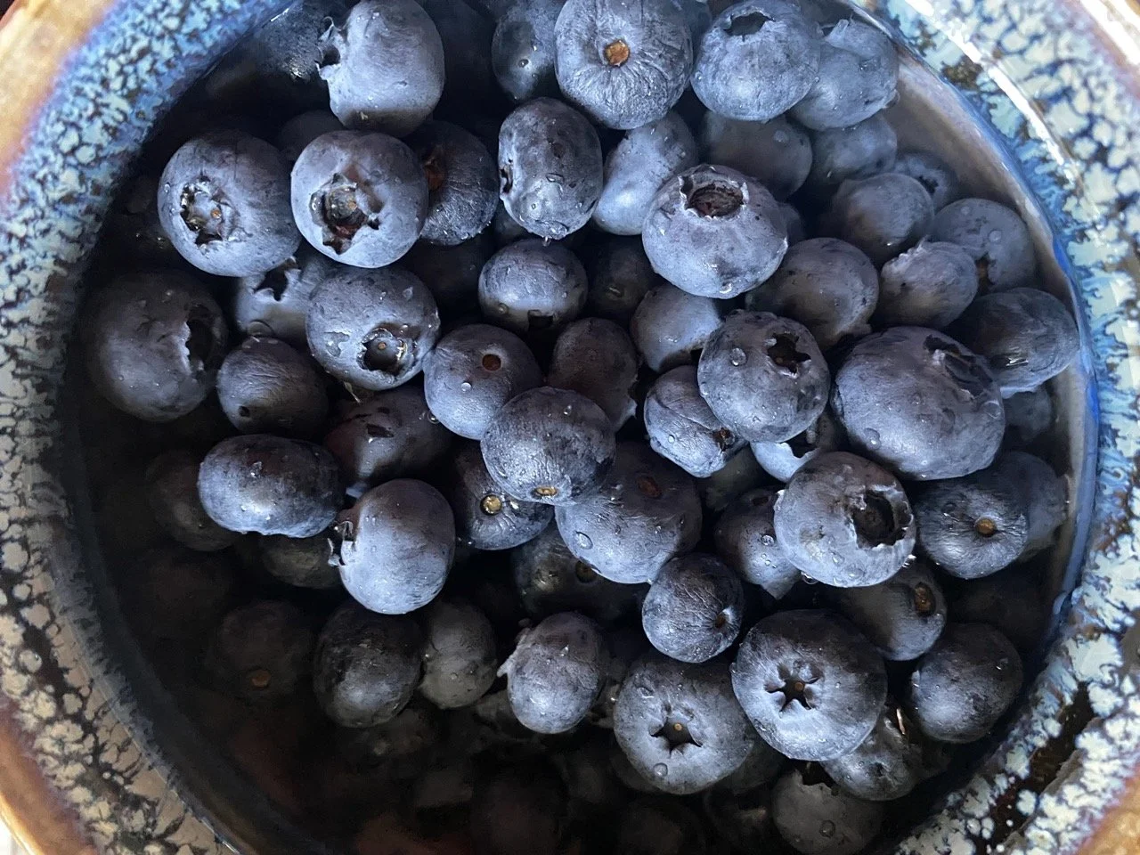 Organic Oregon blueberries