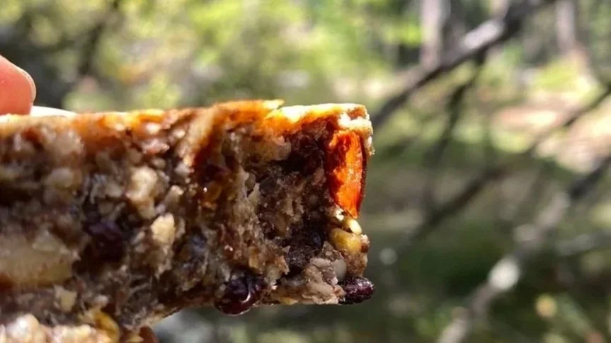 High Protein Chewy Oat Bar