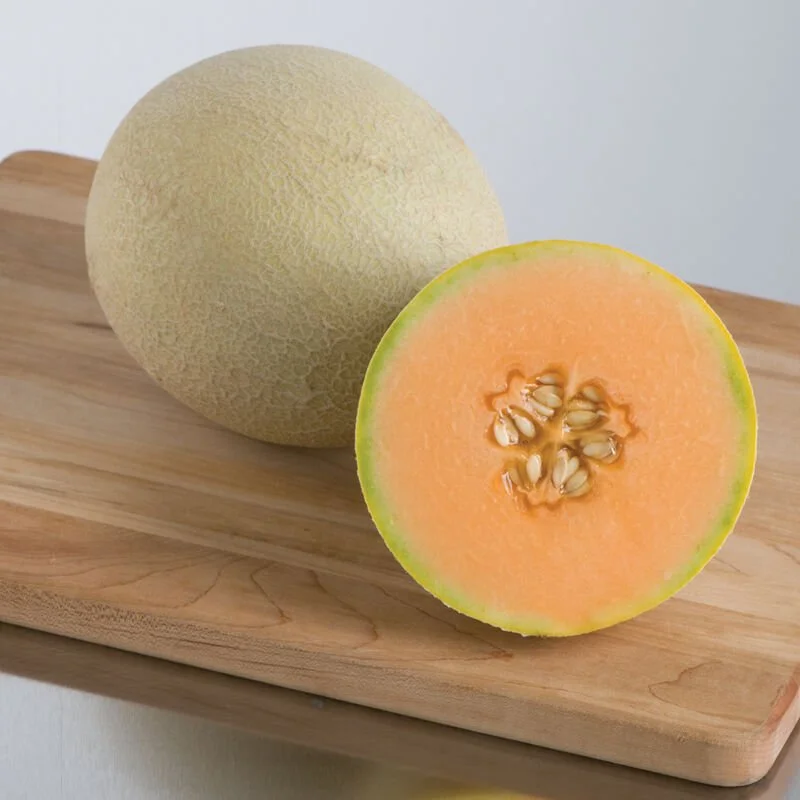 Plant: Melon- Cantaloupe  (2.5 inch pot)