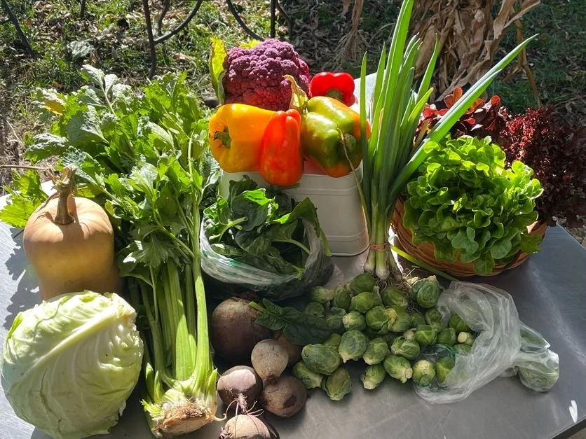 Fall CSA Delivery (Delivery to drop spots only)