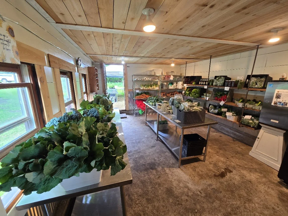 Week 3 Farm Store.jpg