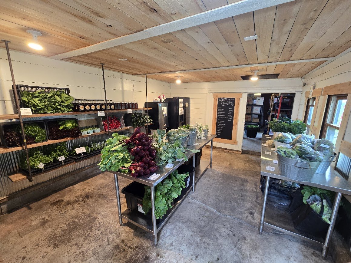 Week 2 Farm Store (3).jpg