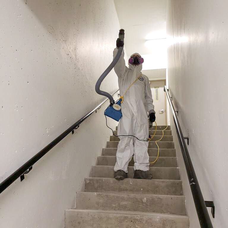 Covid-19 Cleaning