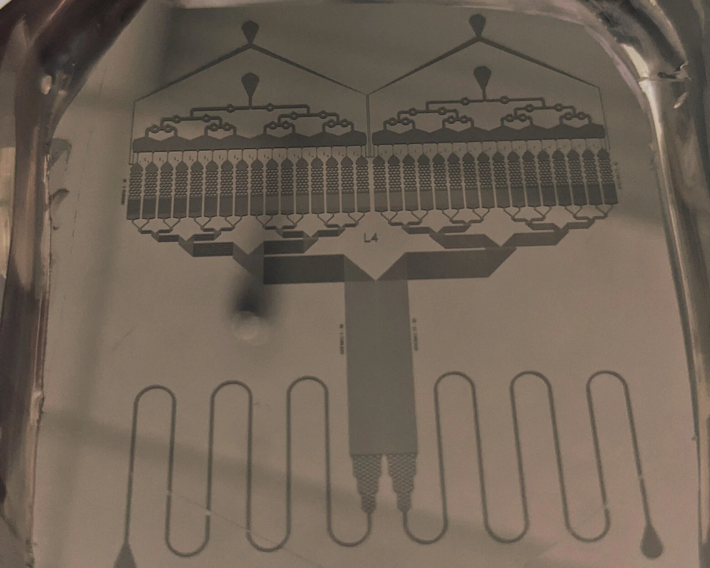 Microfluidics