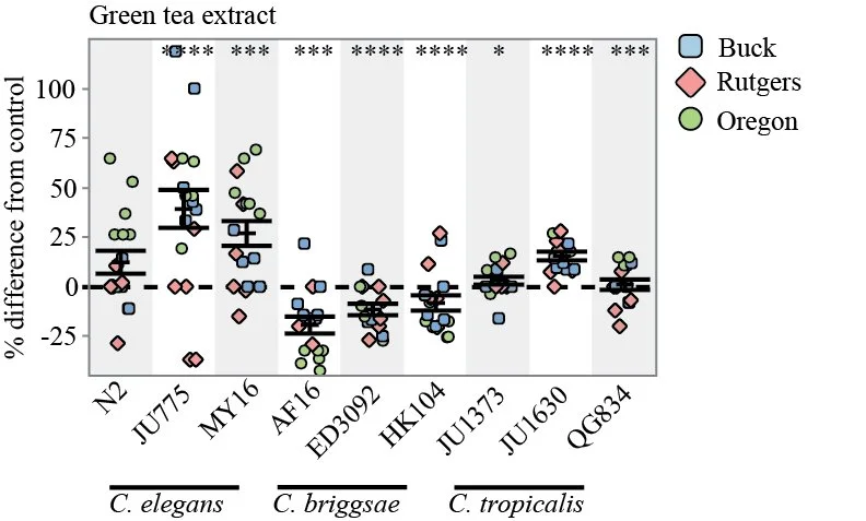 New CITP preprint! Lifespan and health effects of 17α-estradiol, acarbose, green tea extract, nordihydroguaiaretic acid, and rapamycin across a Caenorhabditis genetic diversity panel