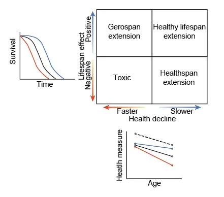 New preprint exploring genetic background effects on health benefits from pro-longevity compounds