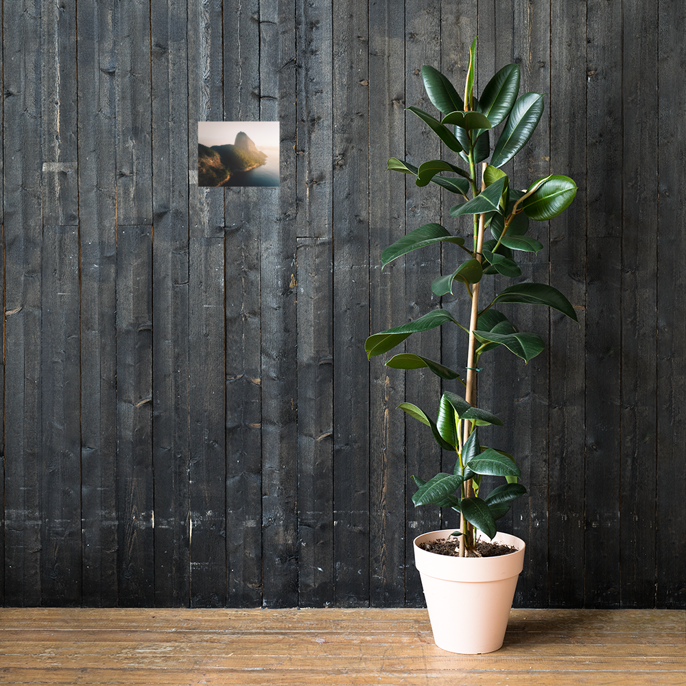 enhanced-matte-paper-poster-(in)-8x10-lifestyle-2-6078b69b9b8f8.png
