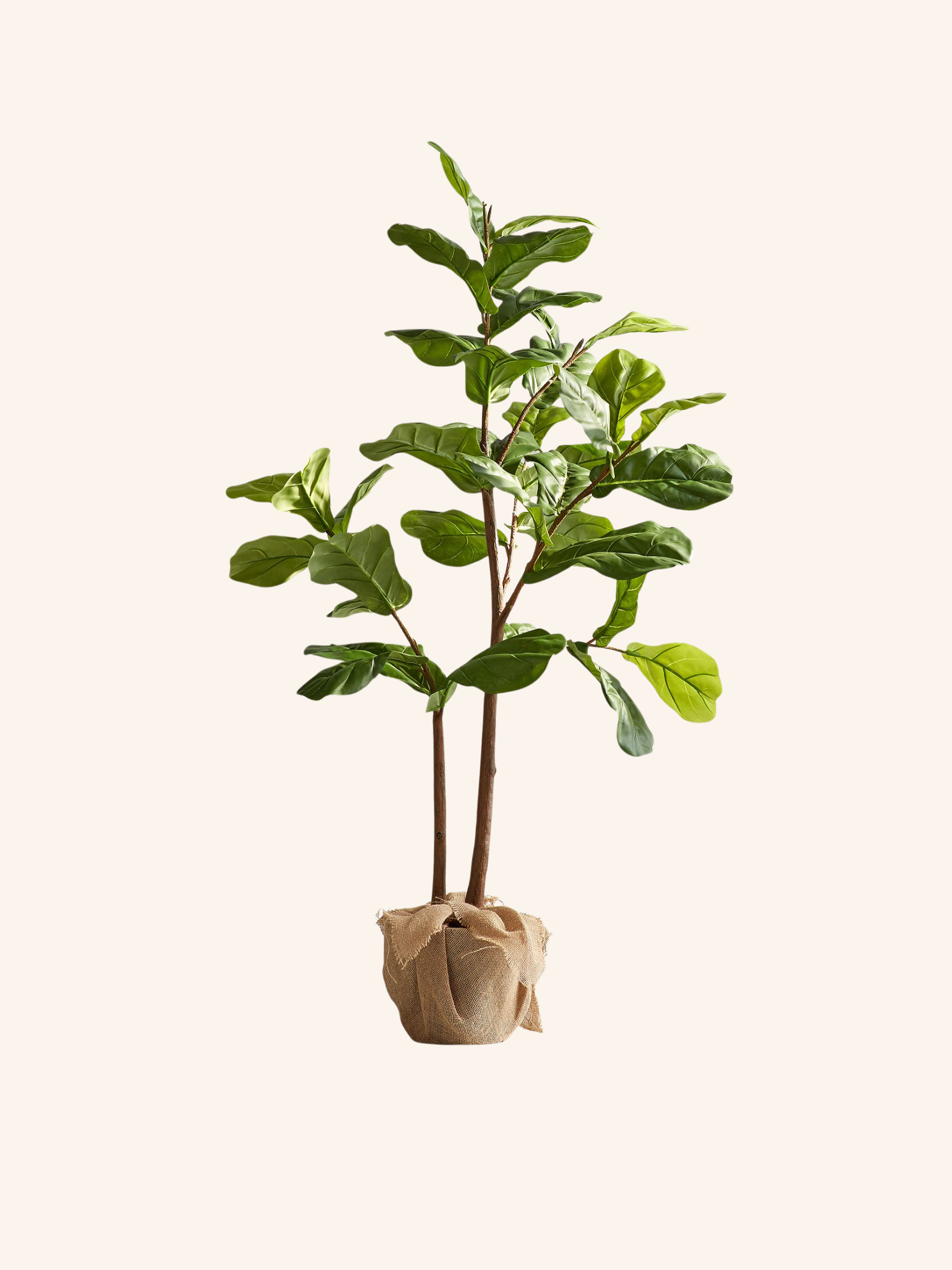 Coffee Table Styling Blog Items (3 x 4 in) (14).png