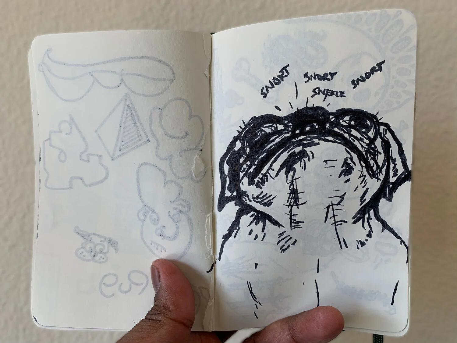 Pug looking up, begging for treats