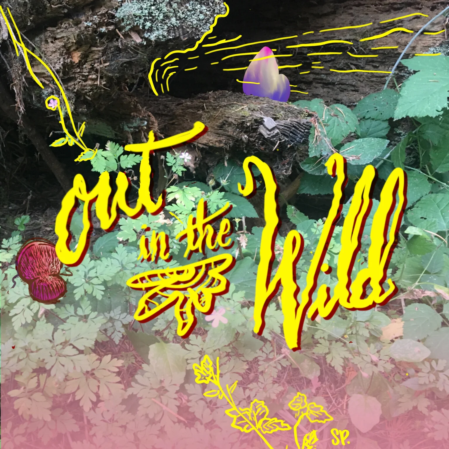 Photography, lettering and illustrations - made with Procreate app on my iPad