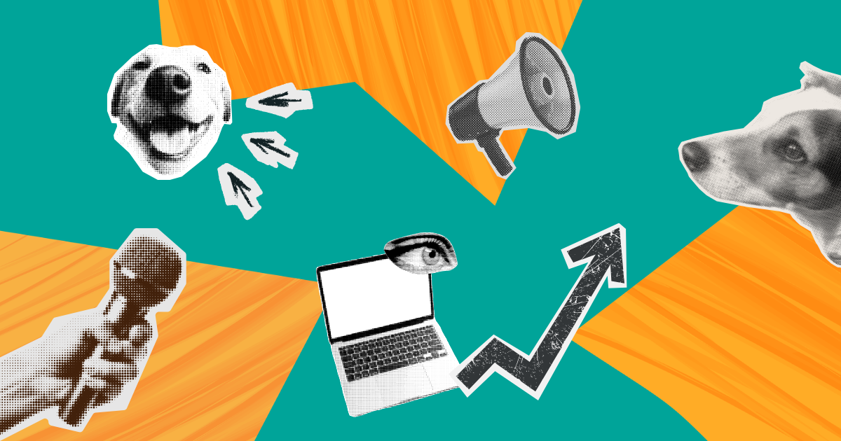 Full wag energy: how Natural Vetcare brought their brand to life