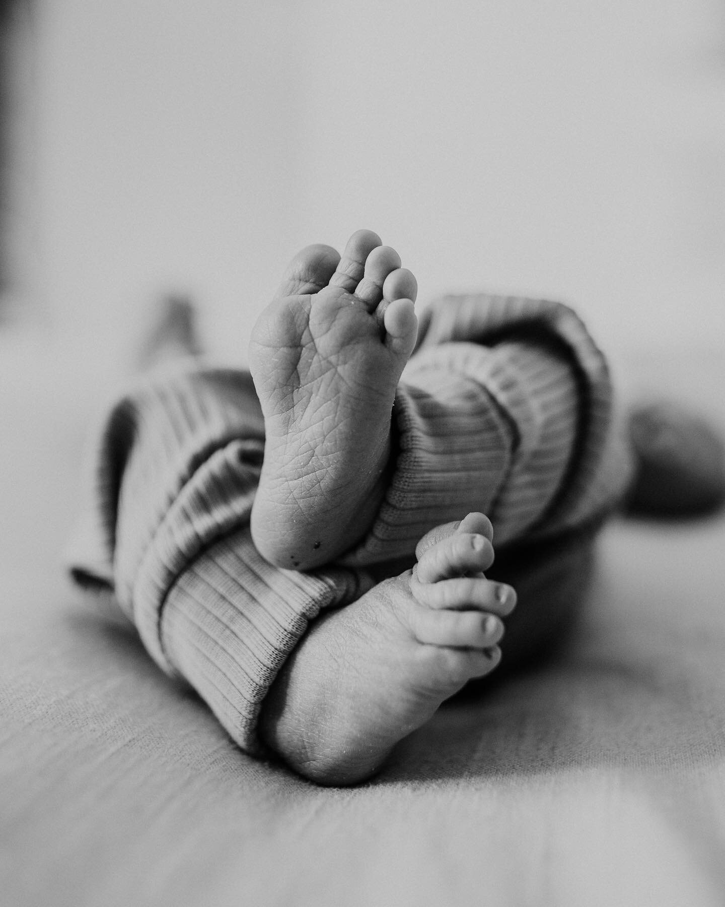 It never gets old. I could look at tiny wrinkly baby feet all day long 

&bull; &bull; &bull;

#newborn #inhomesession #inhomenewbornsession #inhomenewbornphotographer #newbornsession #ohionewbornphotographer #columbusnewbornphotographer #lifestyleph