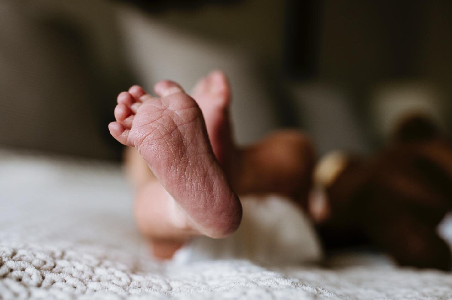 Is it possible to post too many photos of perfect tiny baby feet? I don&rsquo;t think so. 

#ohionewbornphotographer #columbusnewbornphotographer #lifestylephotography #tinyfeet #newbornphotography