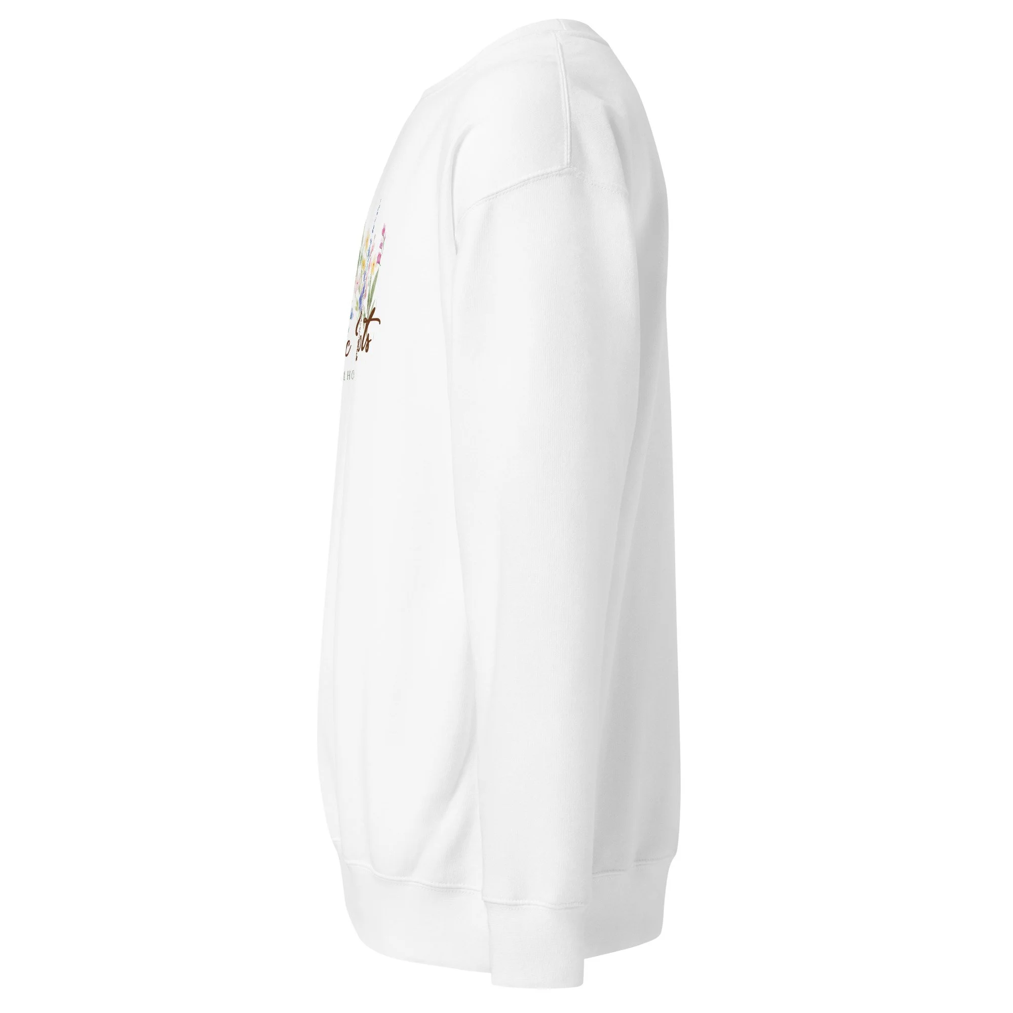 unisex-premium-sweatshirt-white-left-6811a5ac9bb2c.jpg