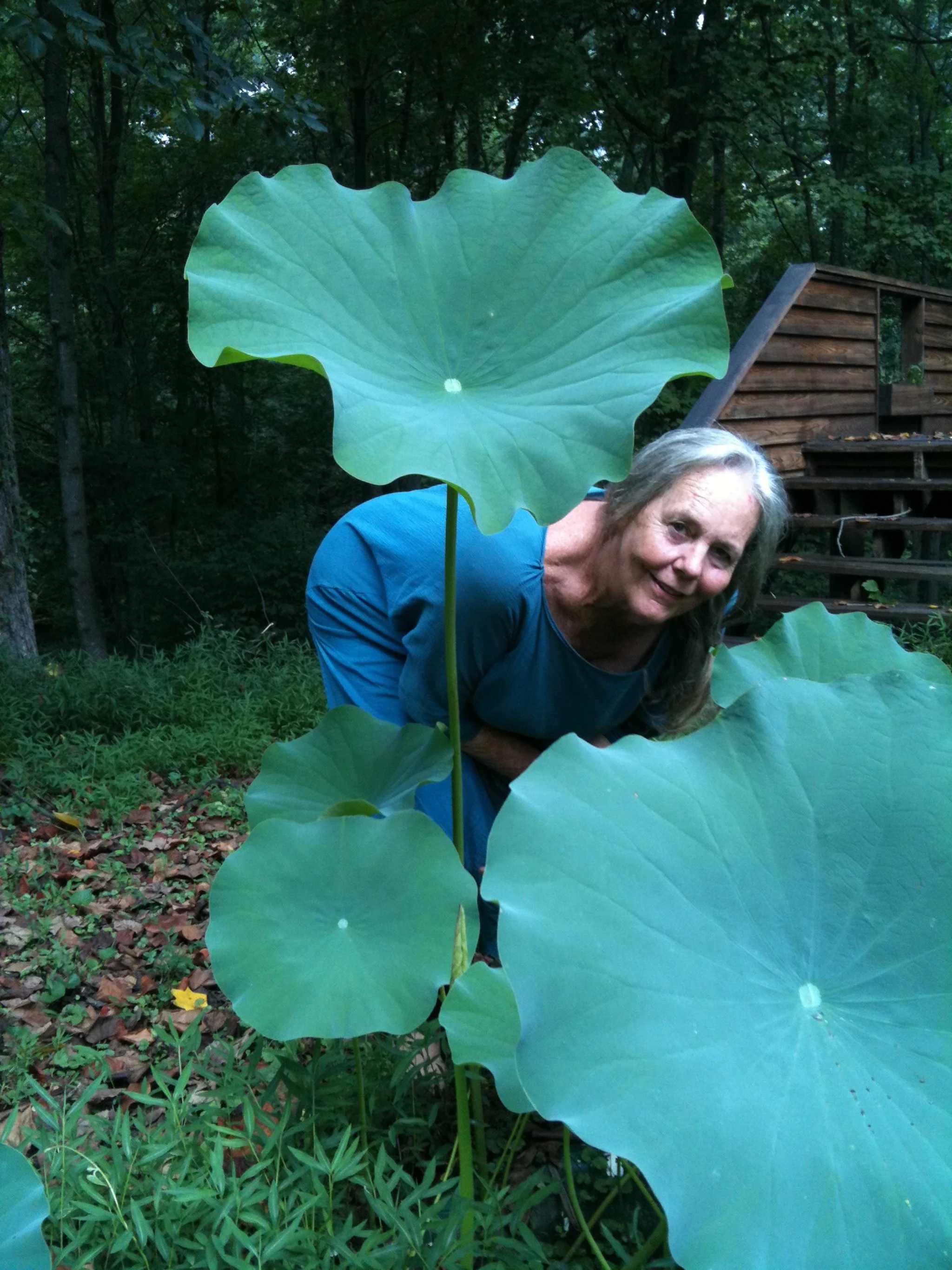 IMG_1271 - Jill Averitt.JPG