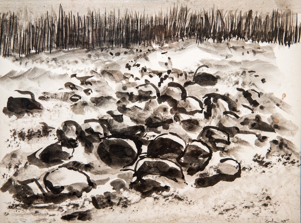 Asha Greer Portfolio web-62.jpg