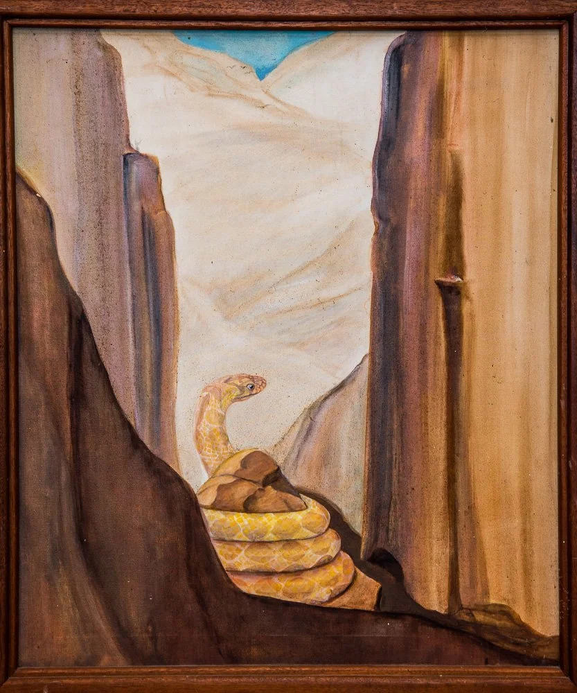 Asha Greer Portfolio web-84.jpg