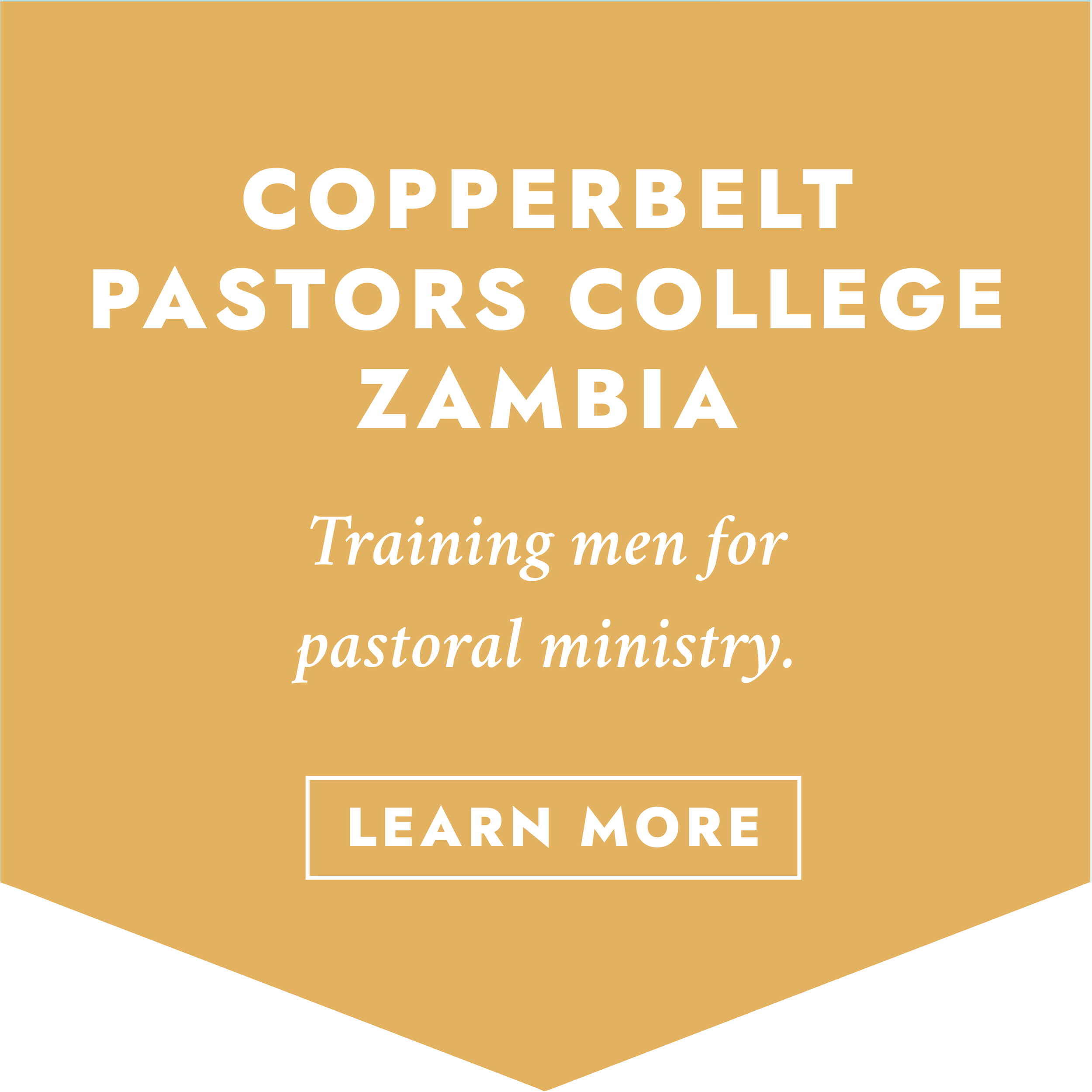 Pastorscollegebanner(Zambia).png