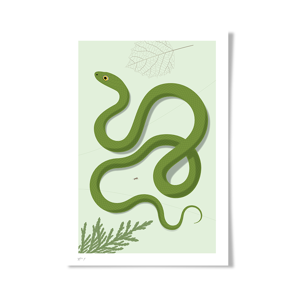 rkr-green-grass-snake-1.png