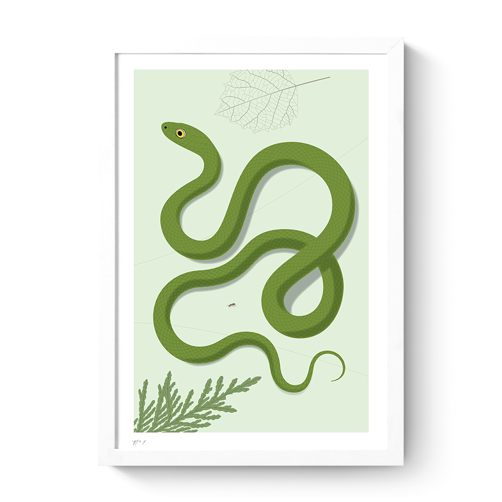 rkr-green-grass-snake-2.png