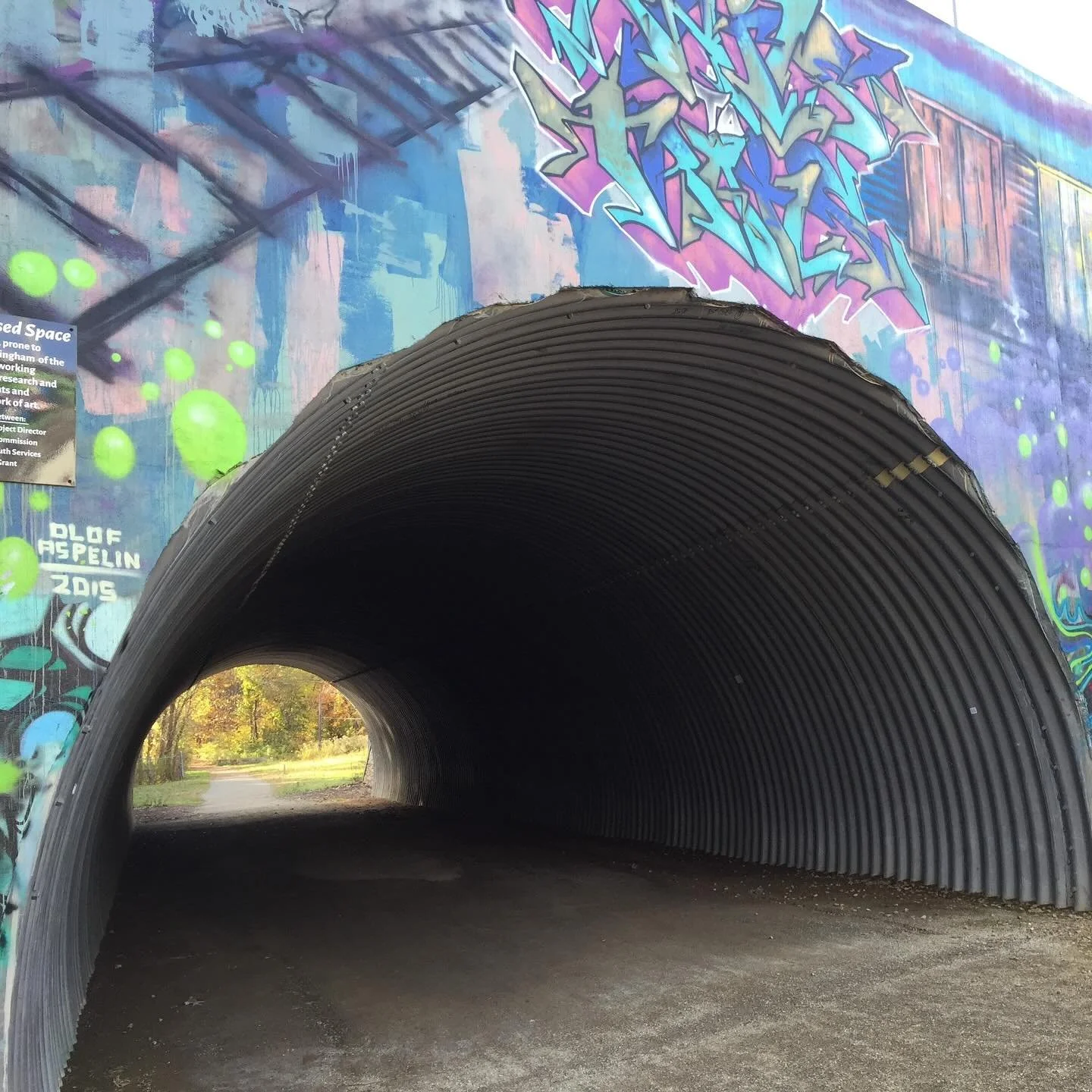 Colorful art, gorgeous nature, joyful community vibes&mdash; this is Yoga for Runners.

Join our group this Friday for the final run of the season.

Meet at the studio at 5pm then take off for a group run on the Rail Trail&mdash;all speeds of runners