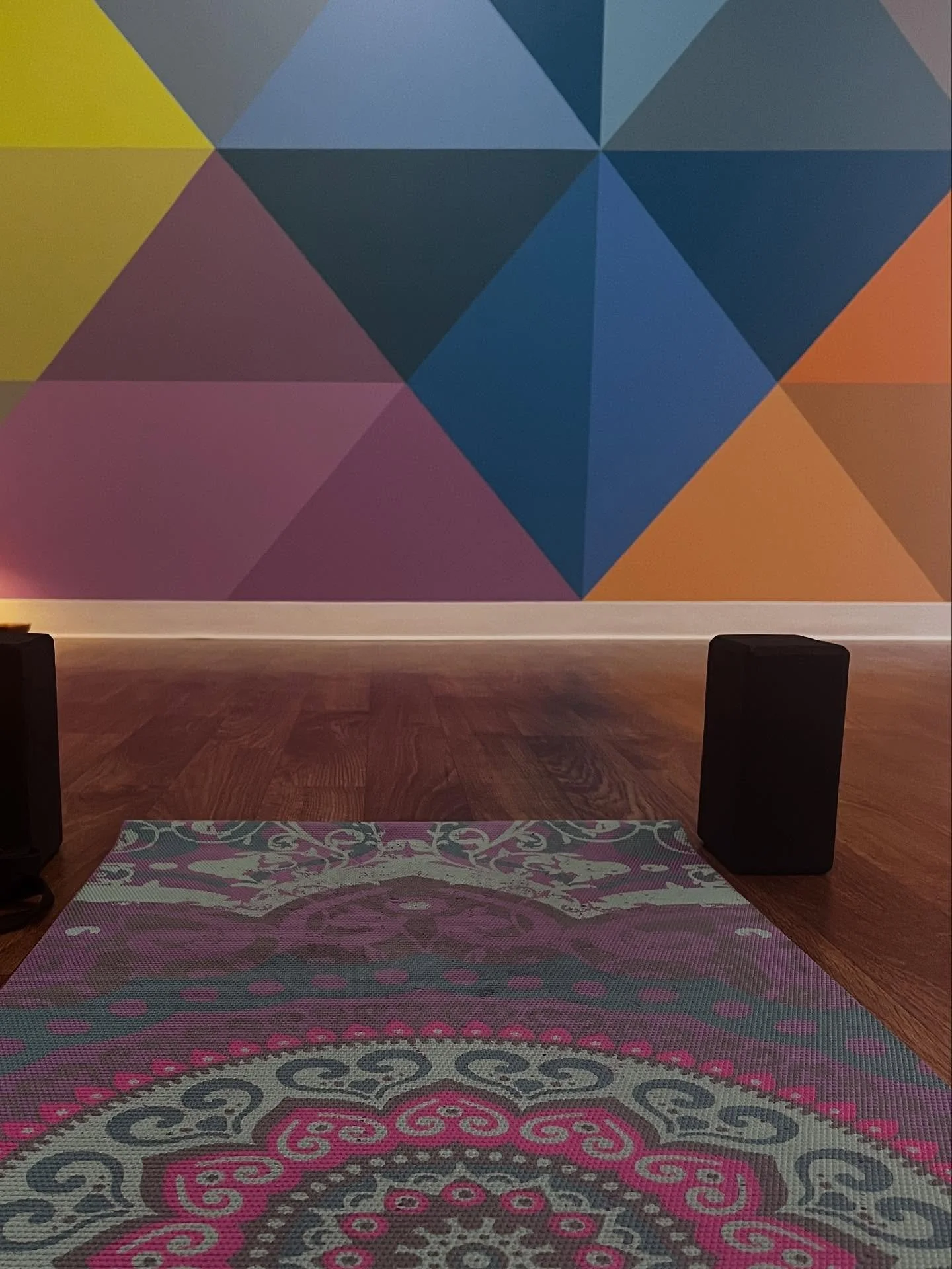 We know you&rsquo;re already up early. Dogs and kids don&rsquo;t observe Daylight Saving Time. 

Why not make the most of your extra morning hour by joining us for an early class at Sweet Lotus?

Whether you join us from home on Zoom or head into the