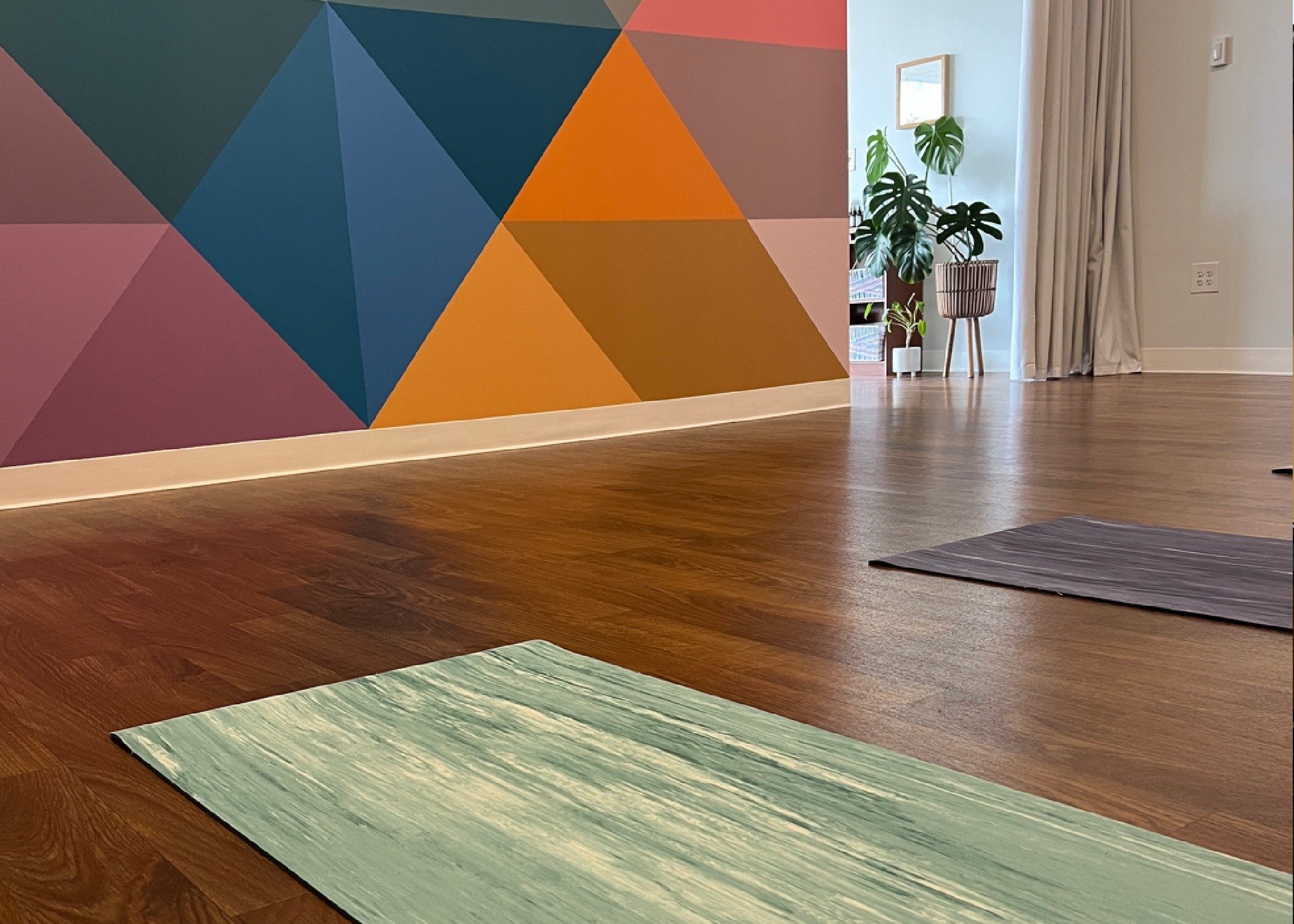 Roll out your mat with us this Friday.

Whether you're getting up before the sun to find some bargains or sleeping in after your warm and lovely Thanksgiving, you can join us this Friday morning for a special Black Friday class with Lisa at 9:30 AM

