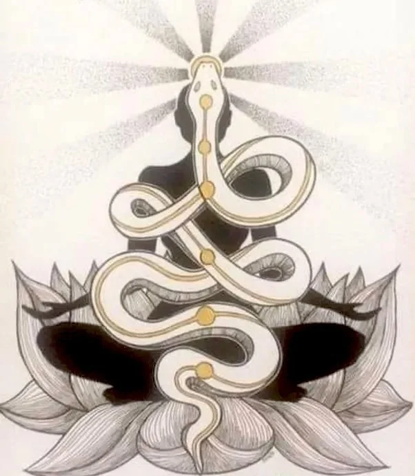 Today is the Lunar New Year--Happy New Year! We're leaving the Year of the Snake and entering the Year of the Horse. The snake is all about slowing down, going deep, and shedding what isn't needed any longer. The horse is about forward momentum, chan