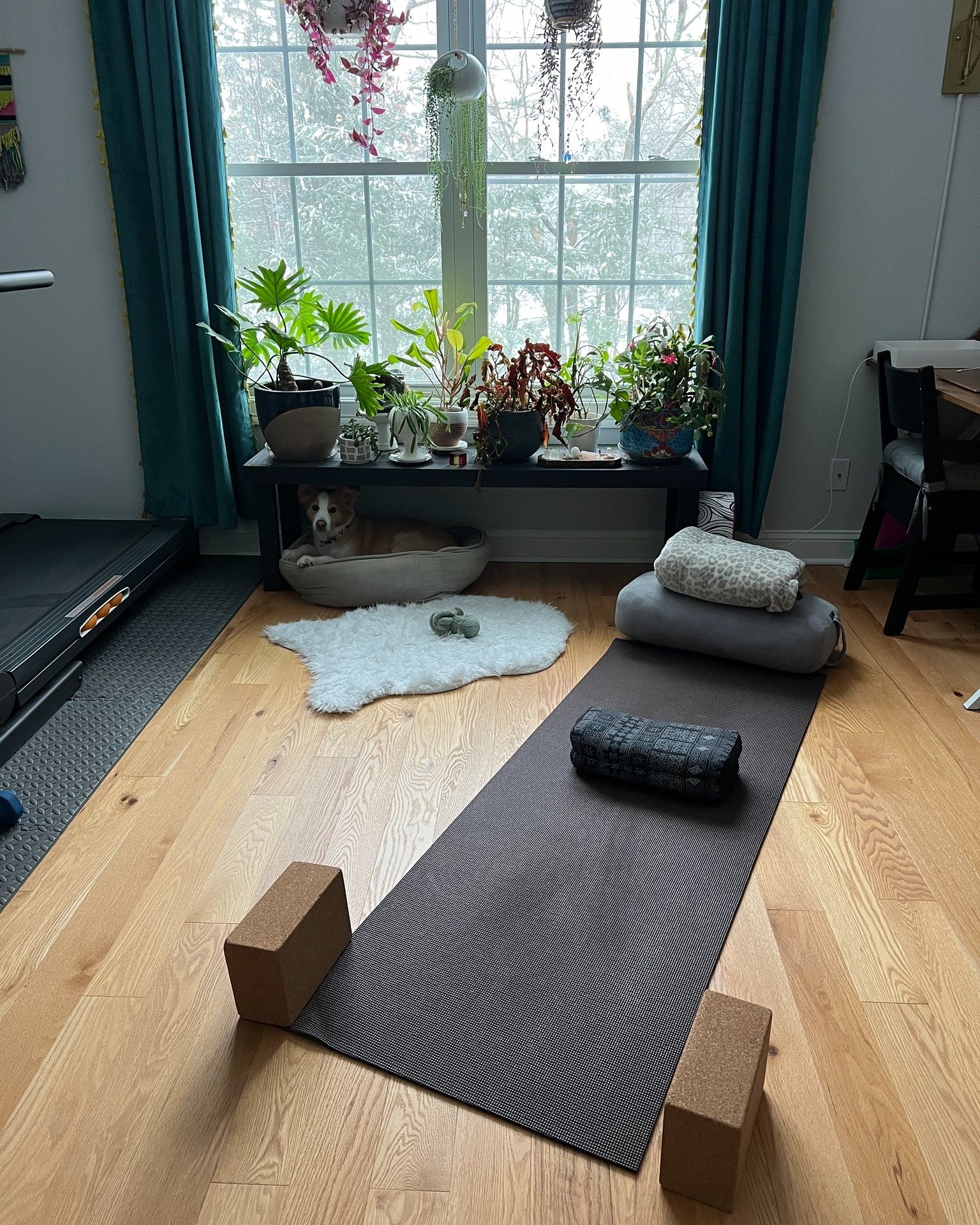 We know: gas prices are off the charts. Maybe you're limiting your shorter trips--like driving to a yoga class. That doesn't mean you have to skip your practice. 

Every one of our weekly classes is also streamed online via Zoom and can be attended f