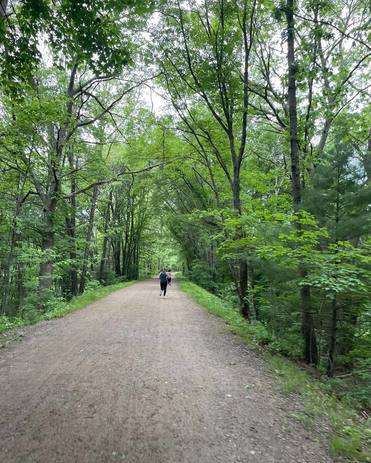 FREE Sweet Lotus Run Club every Friday! ***TIME CHANGE FOR TOMORROW*** Because of the heat, we'll be moving the June 12th Run Club to the morning. Join us tomorrow at 7:15AM.

All levels and speeds of runners and walkers are welcome to join--we won't