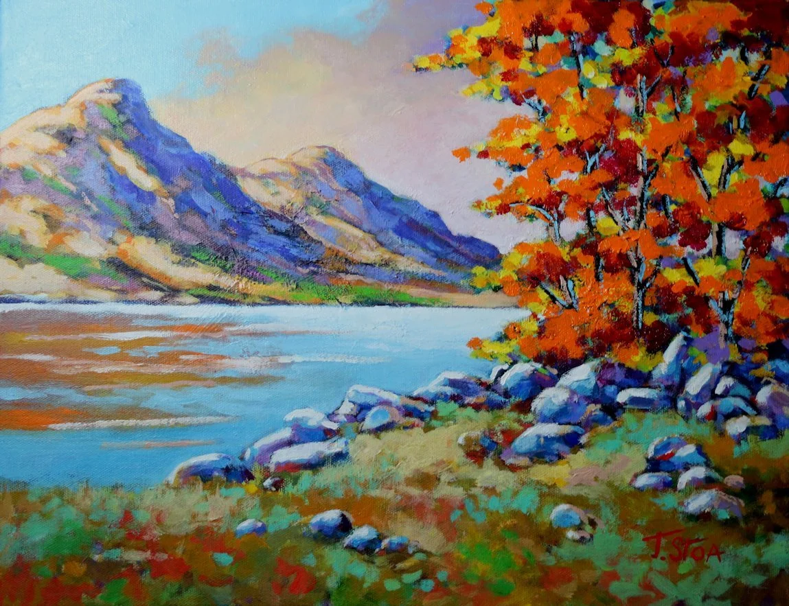 1890 Journey into Colour.JPG