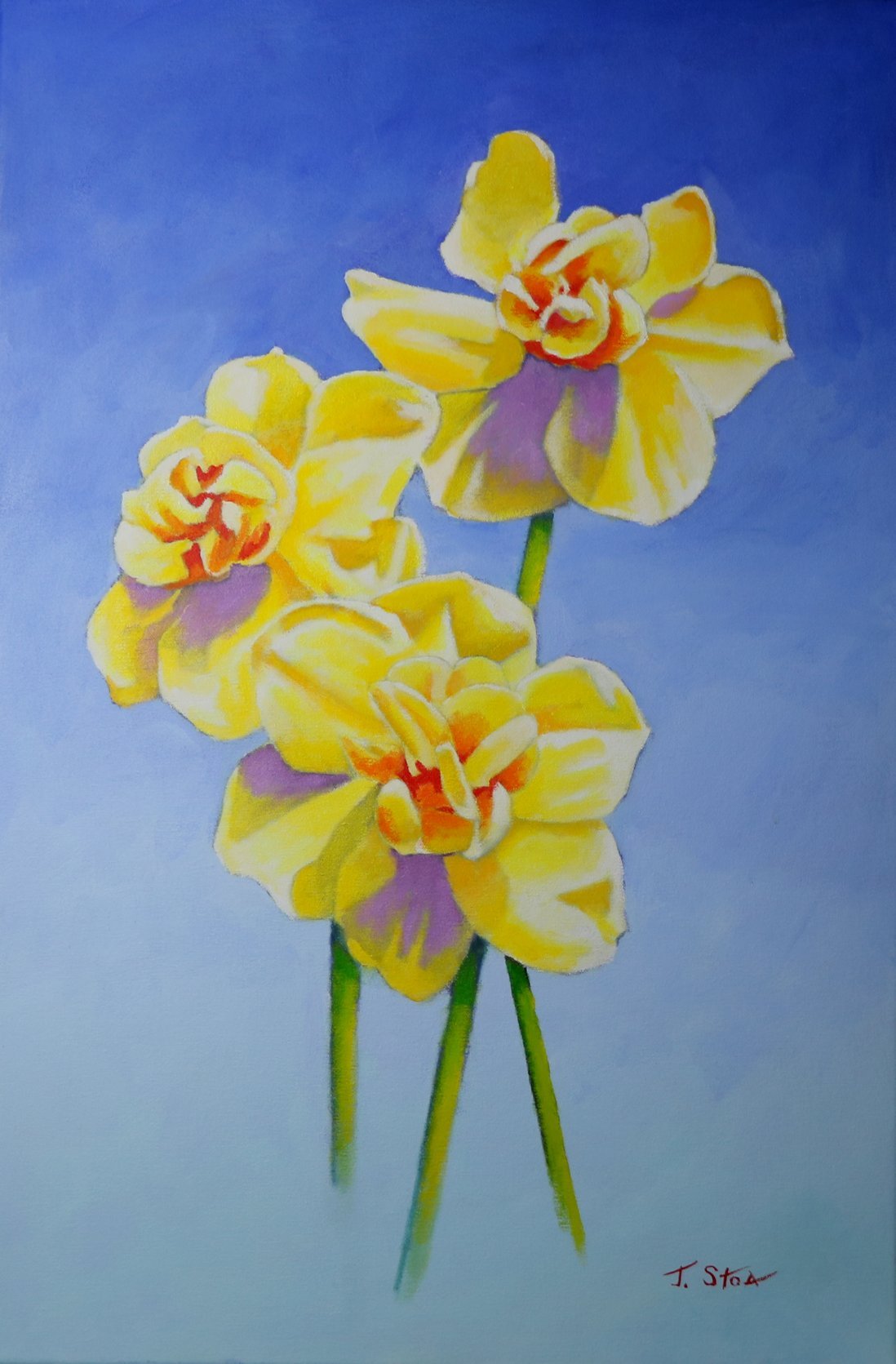 1639 Lemon Narcissus.JPG