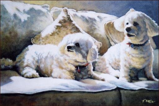 Private art commission of Bichon Frises