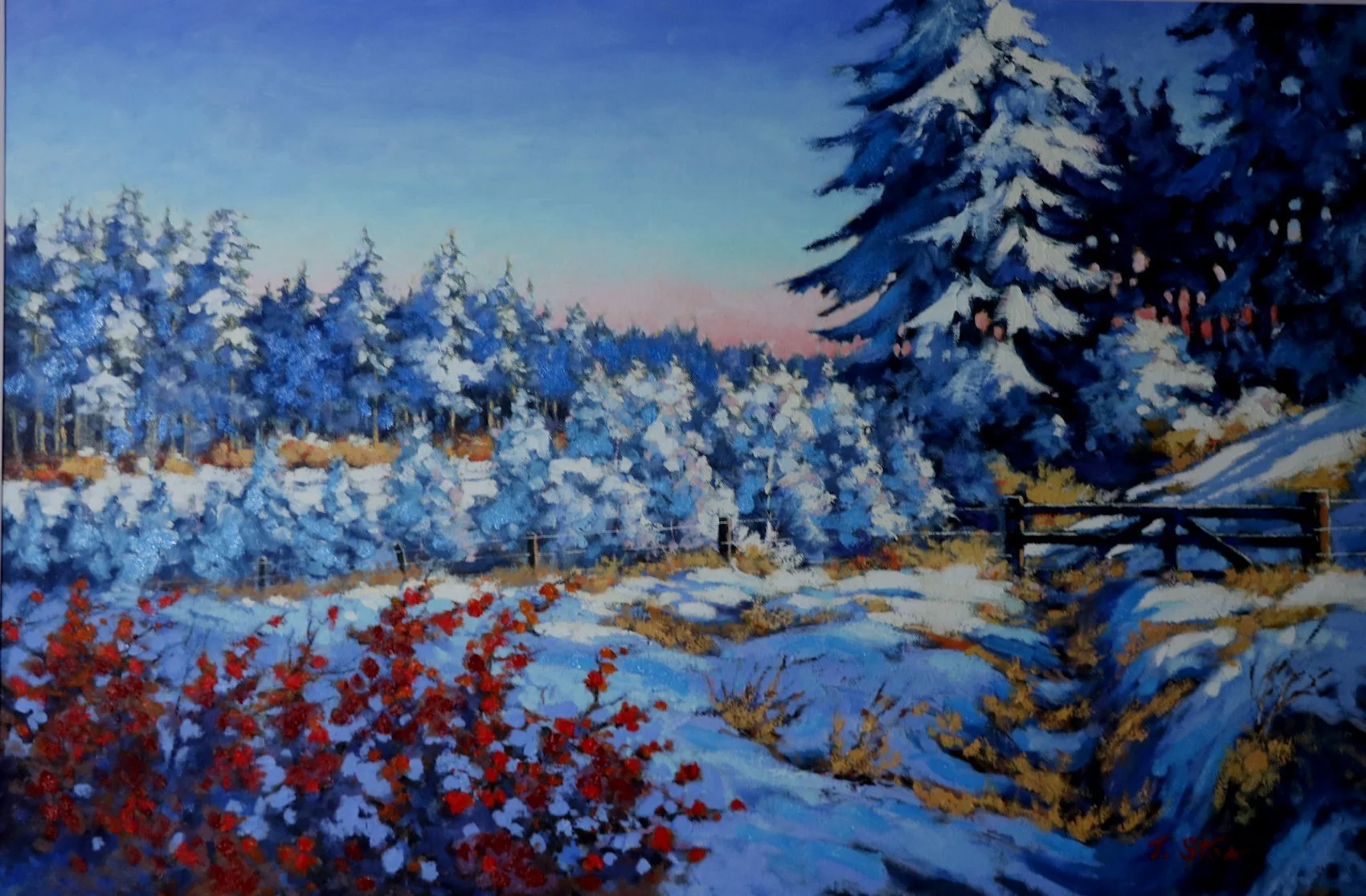 Templeton Woods in Dundee in winter