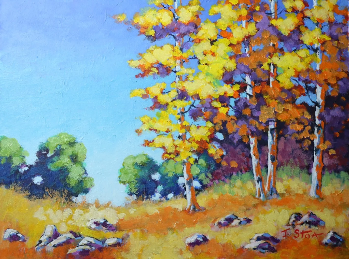 1894 Birch Copse .JPG