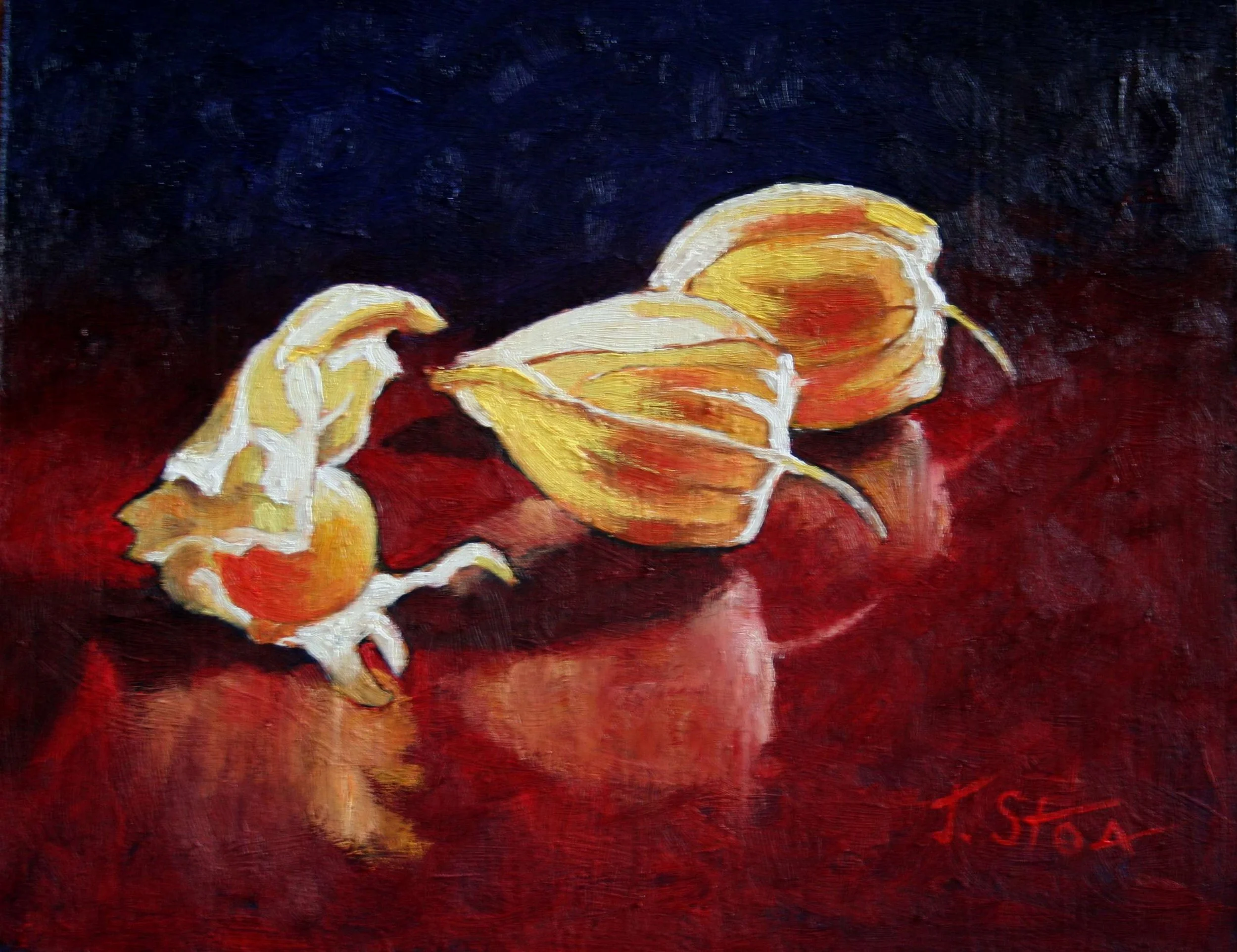 1778 Cape Gooseberry 12.jpg