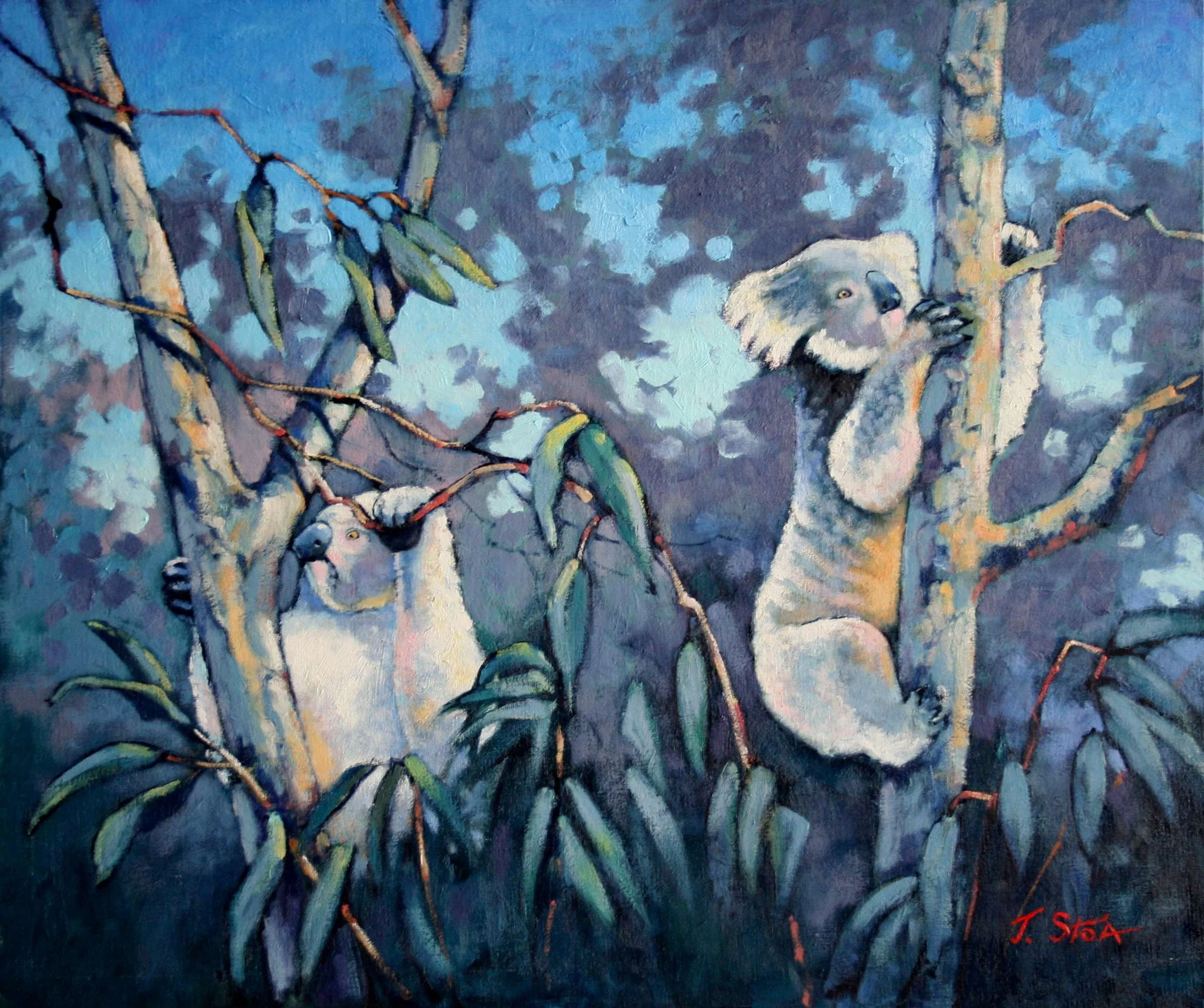 576 Koalas in Healesville.jpg