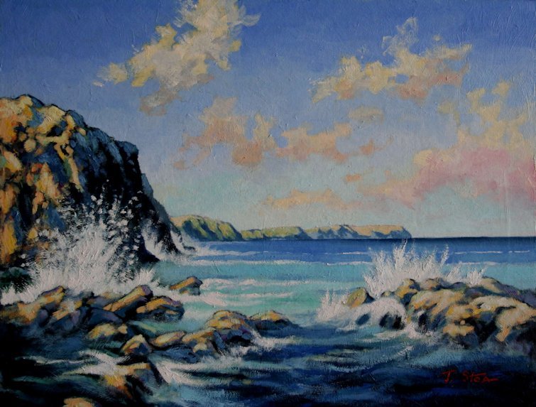 590 Cape Schanck.jpg