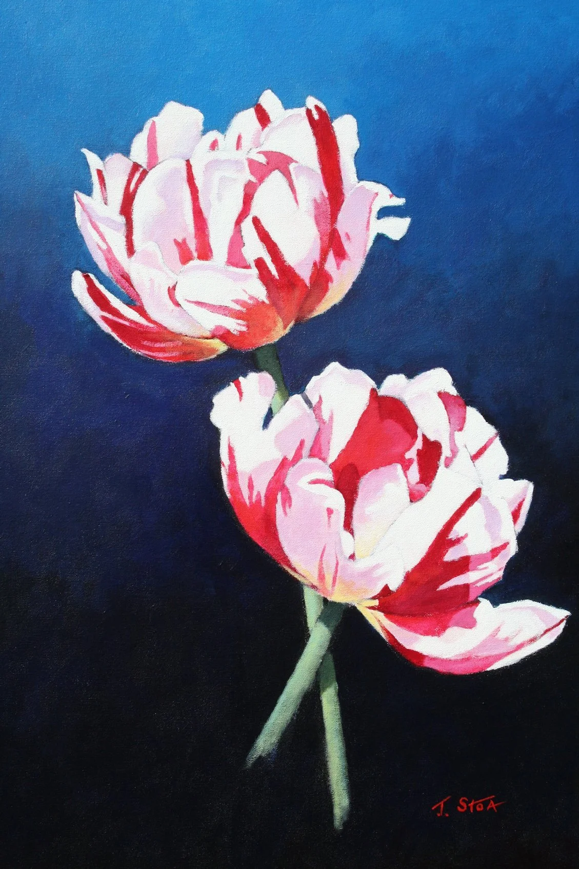 1636 Rembrandt Tulips.jpg