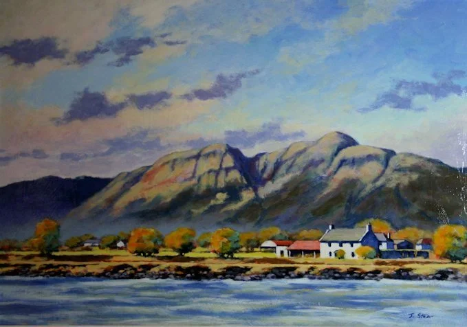 969 South Alloa Island.JPG